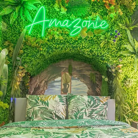 Apartment Amazonia 1 - Hypercentre - 2 Pers Troyes
