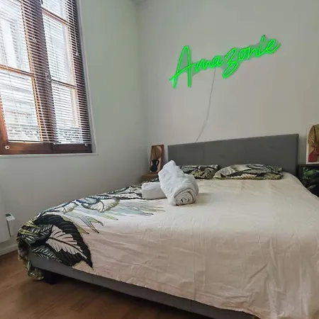 Apartmán Amazonia 1 - Hypercentre - 2 Pers Troyes